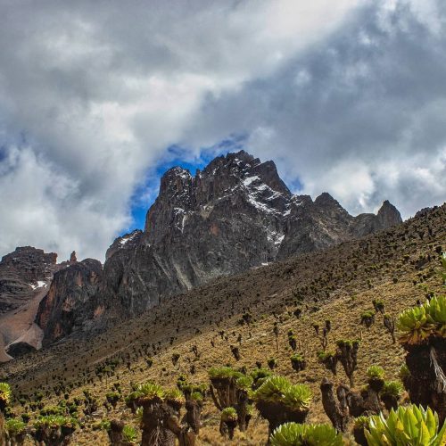 Mount Kenya National Park Kenya Self Drive Trip X Africa