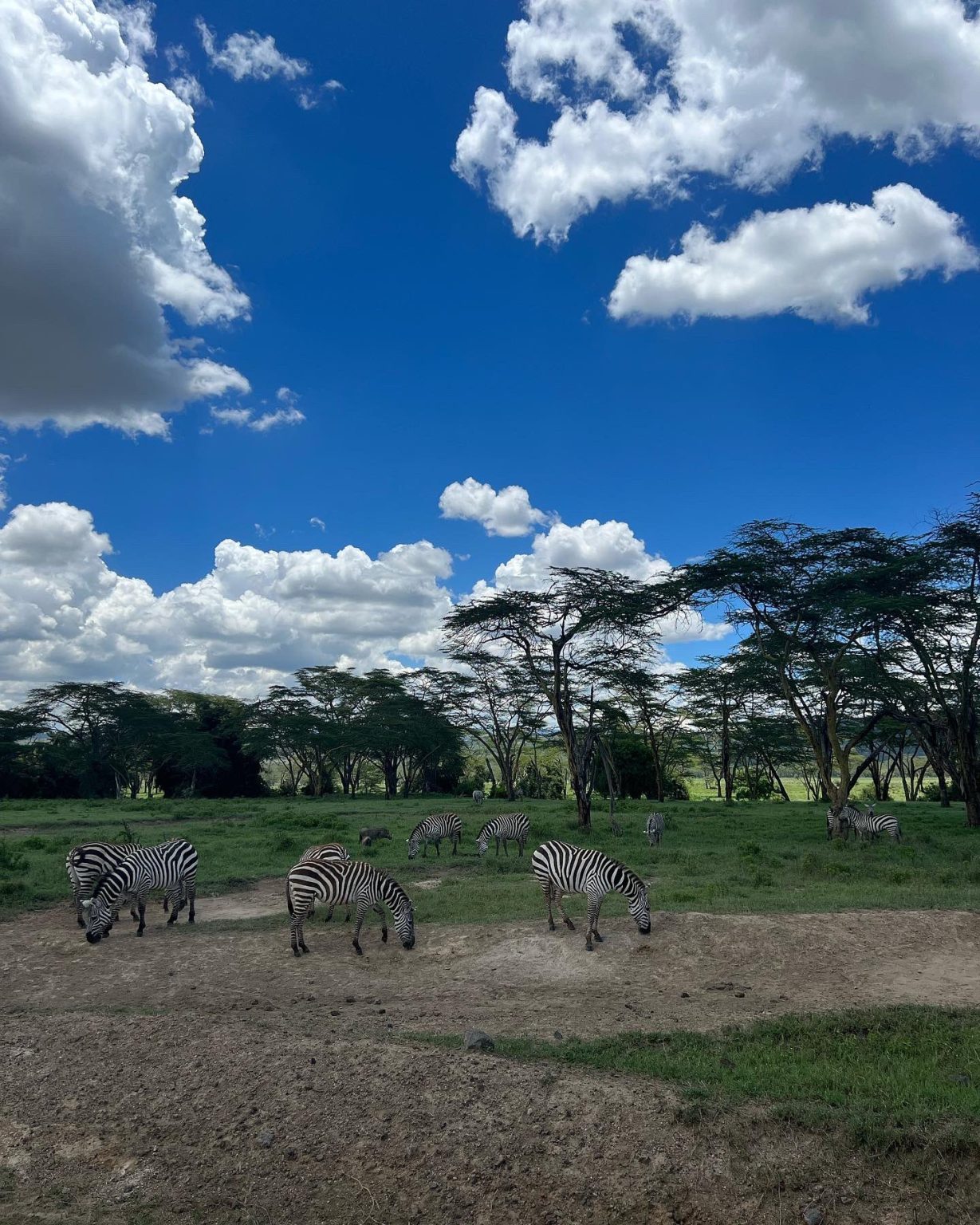 Lake Nakuru National Park - Kenya Self drive : 4x4 Africa