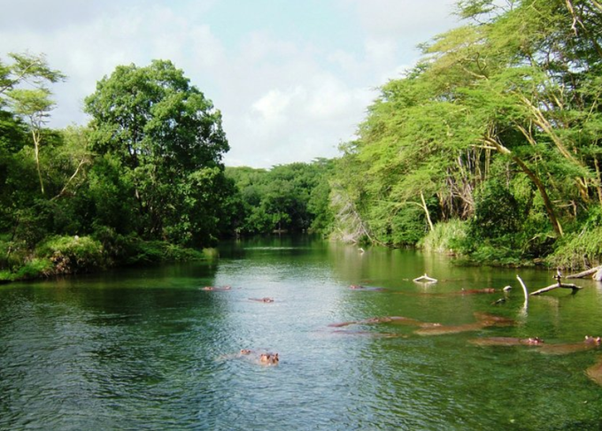 Mzima Springs