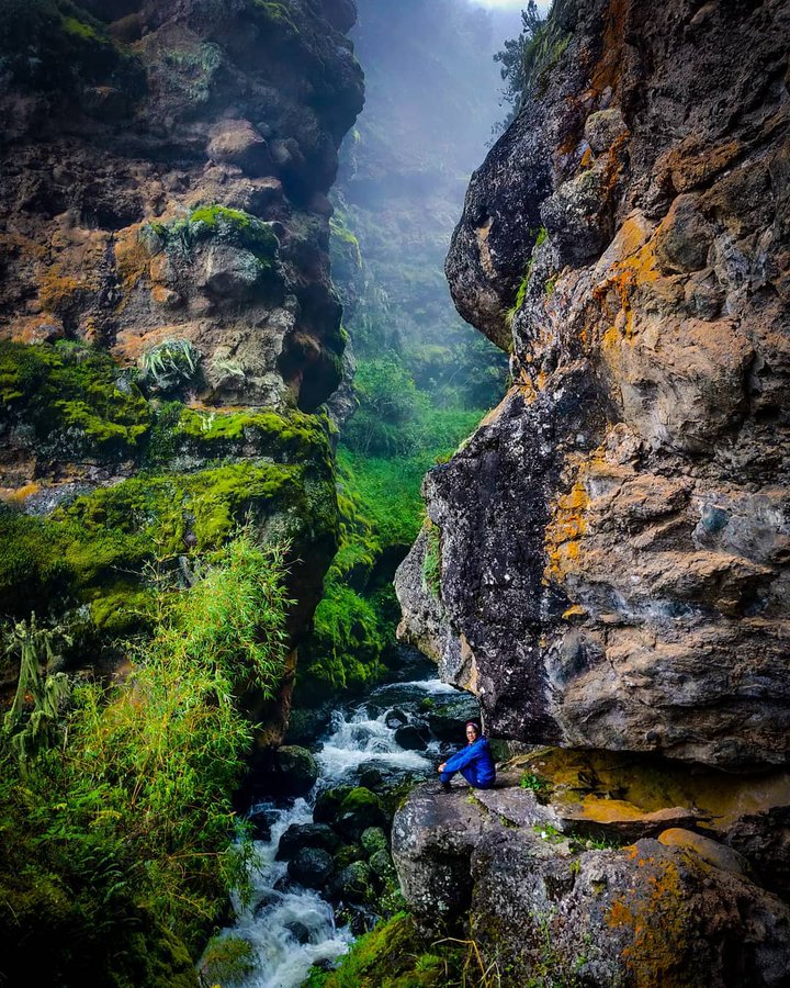 Mount Kenya Entrance 