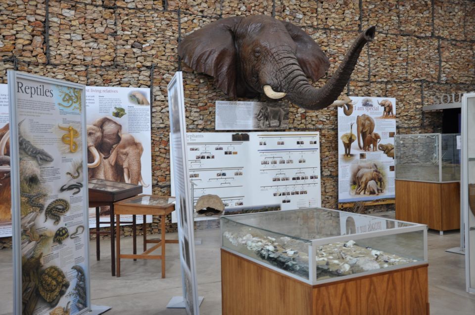 Addo Elephant Museum