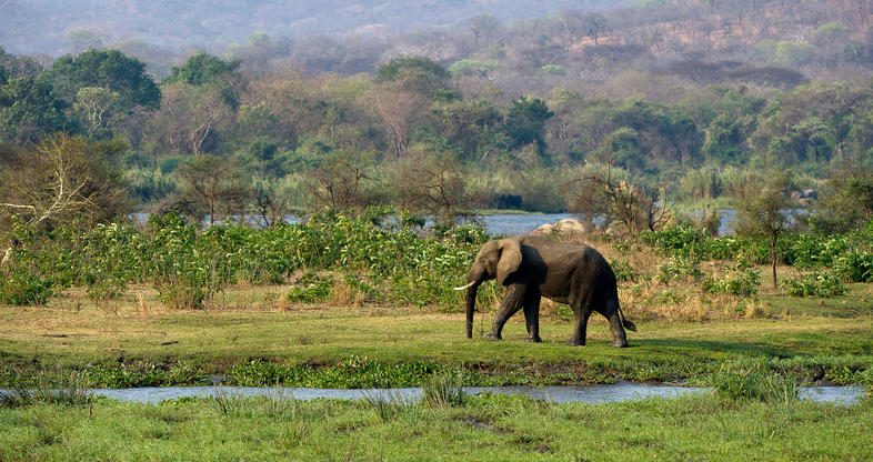 Majete wildlife reserve