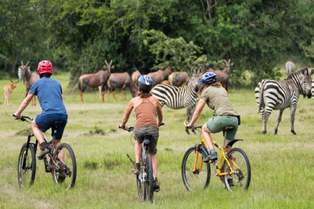 Bicycle-Safari