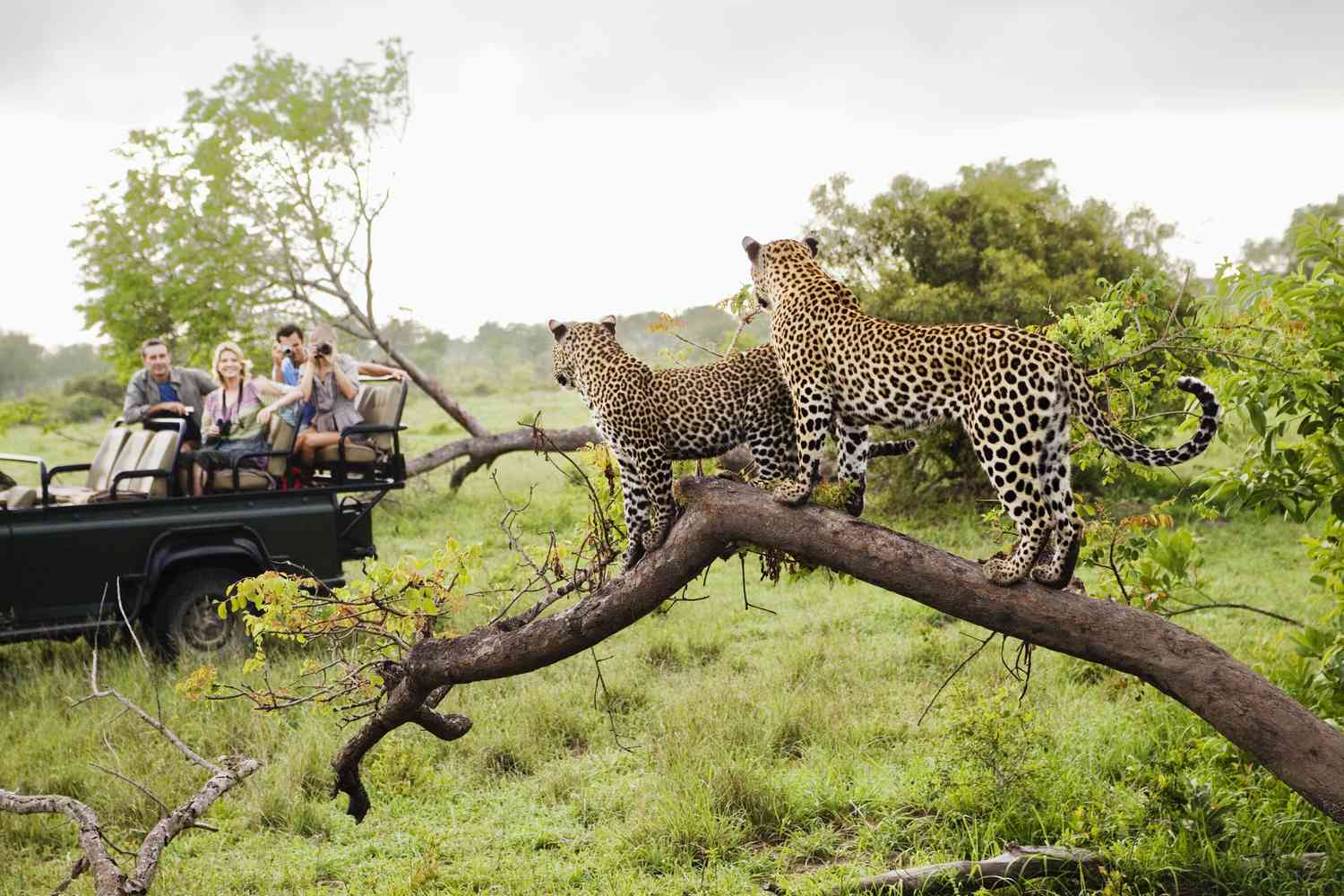 Kruger National Park