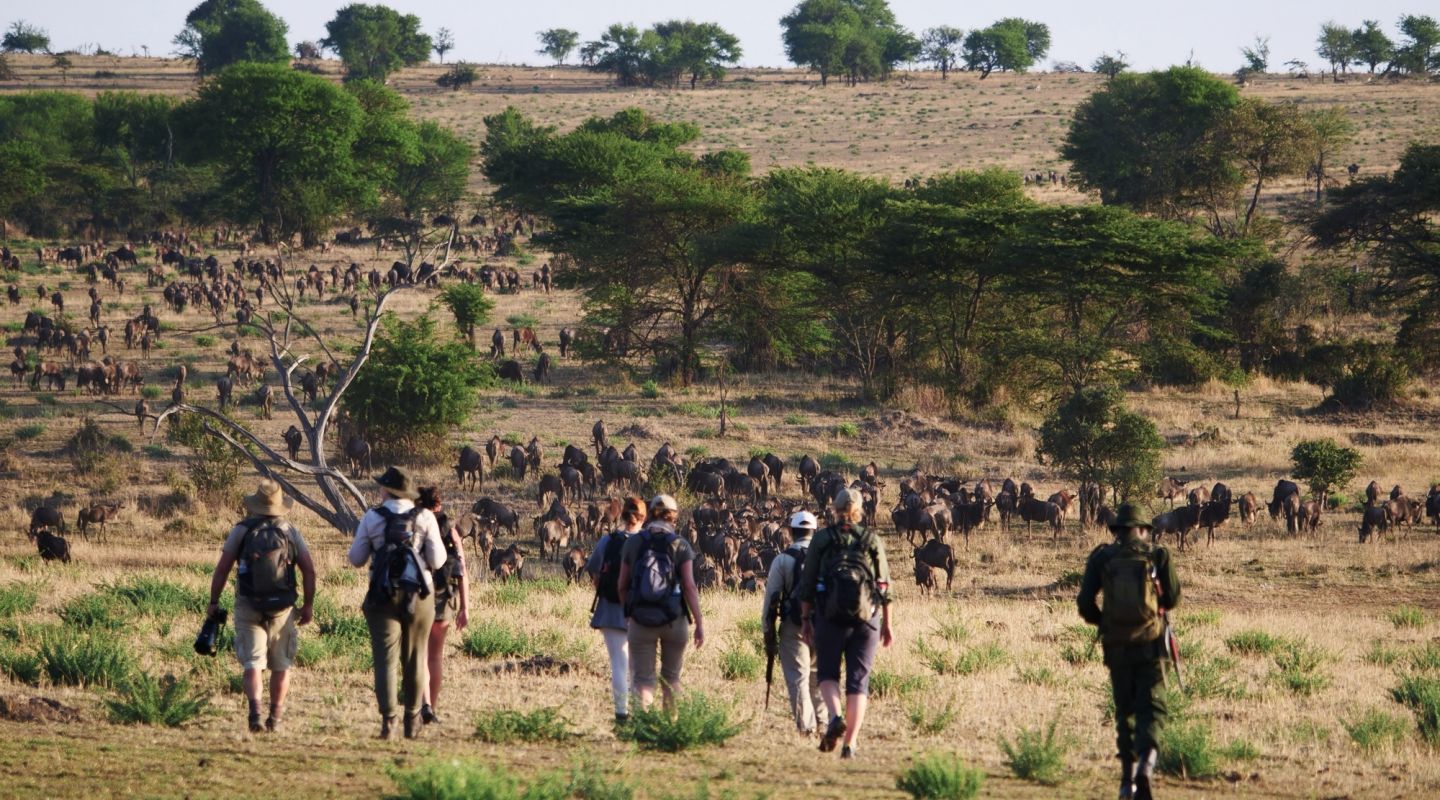 Walking Safari