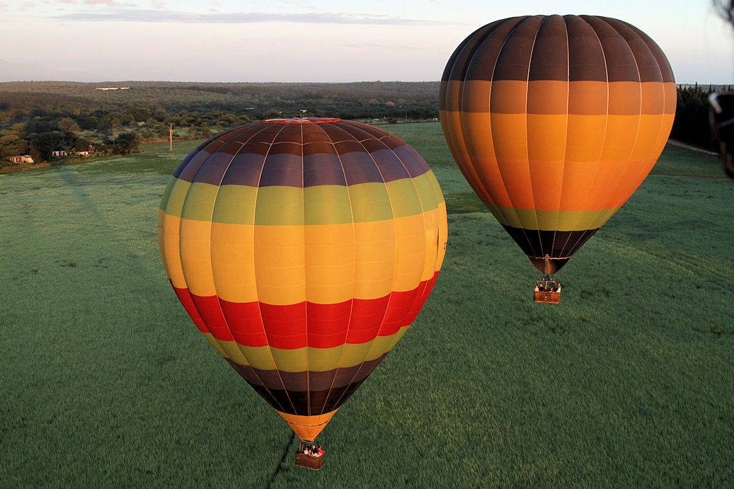 balloons en route to the park