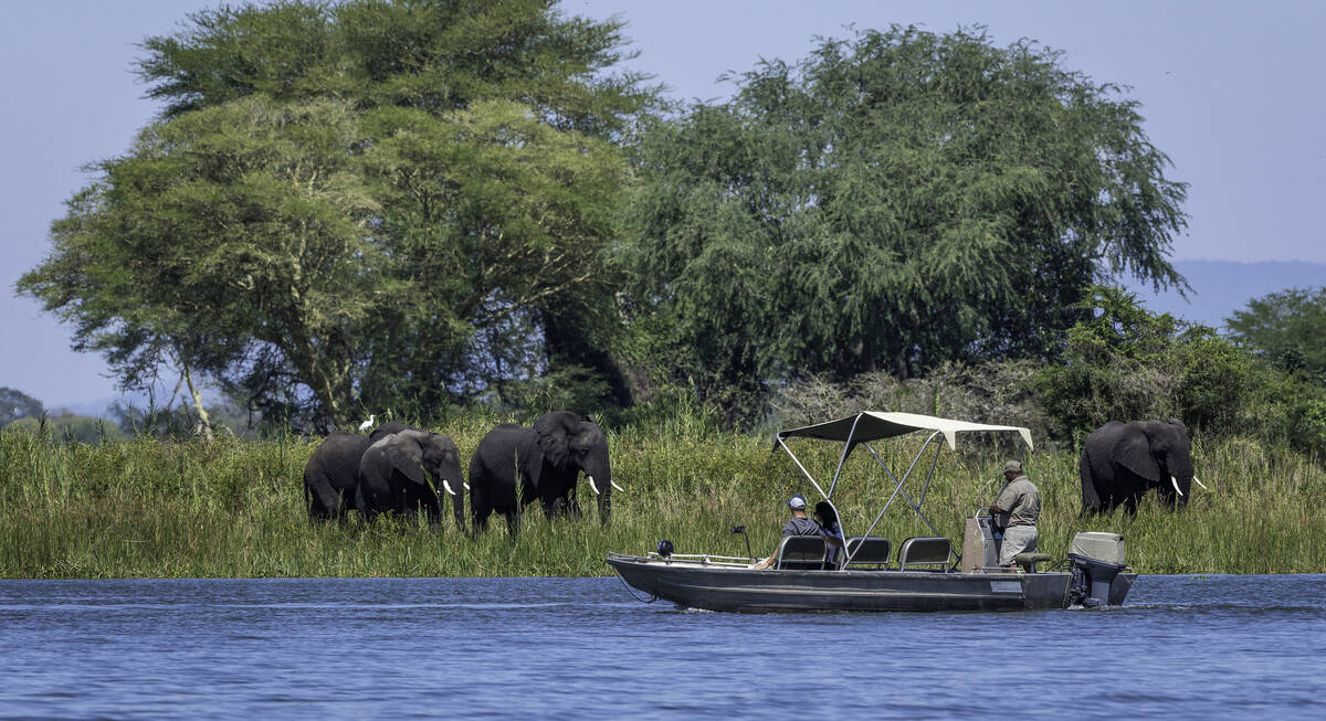 Boat Safaris in Majete