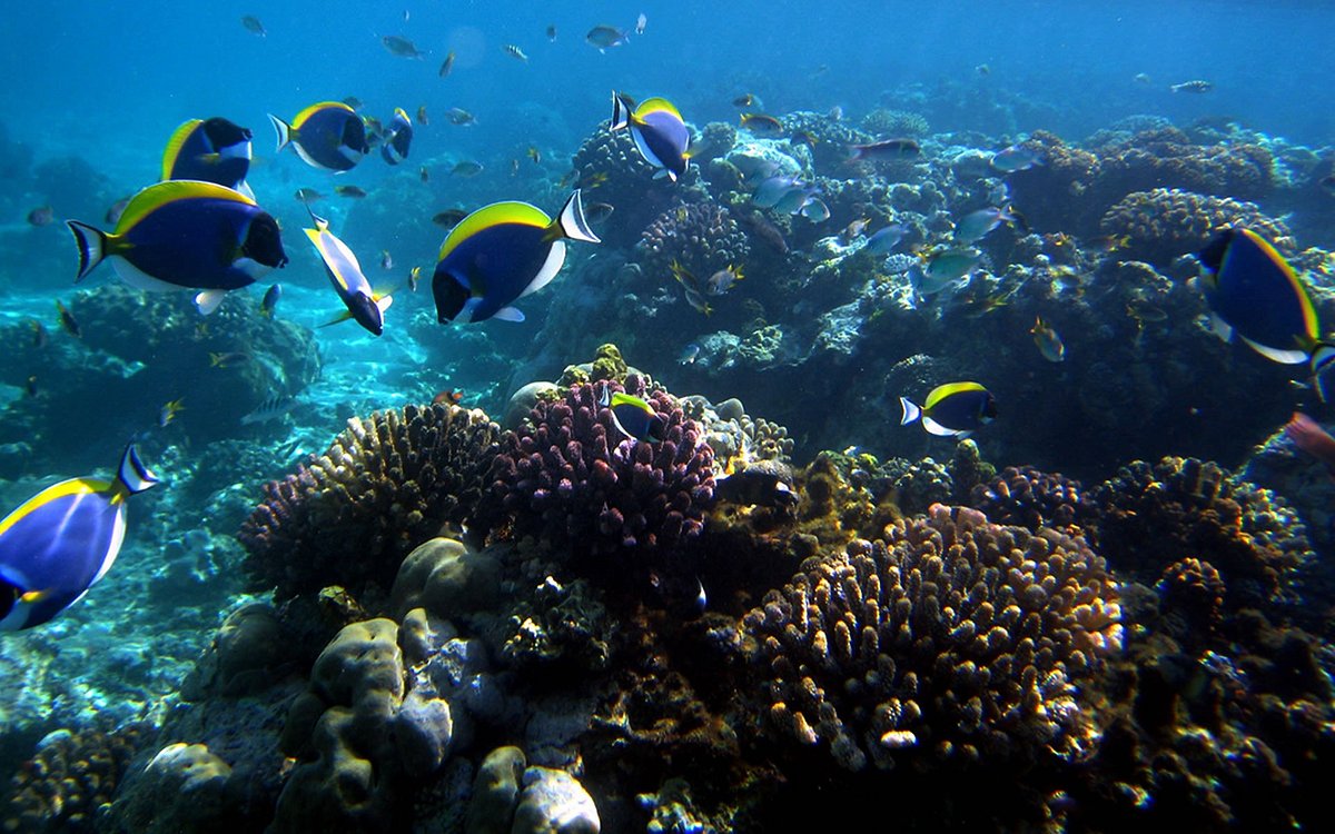 marine-park-mombasa