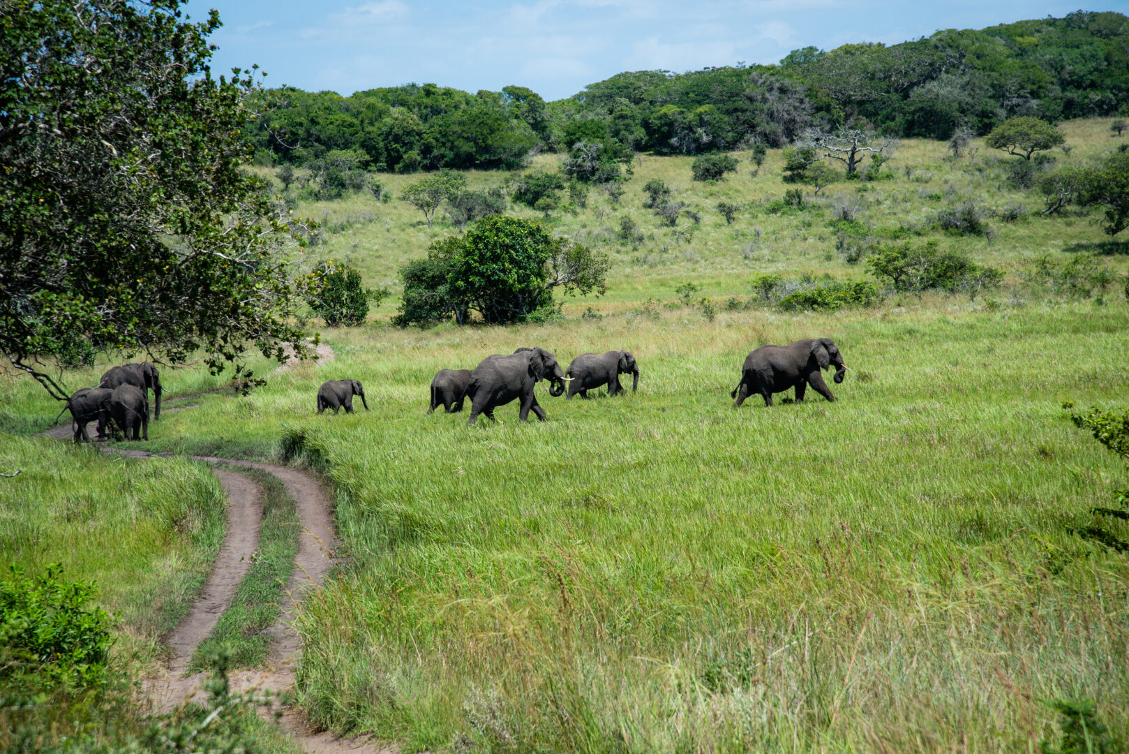 Maputo-Special-Reserve