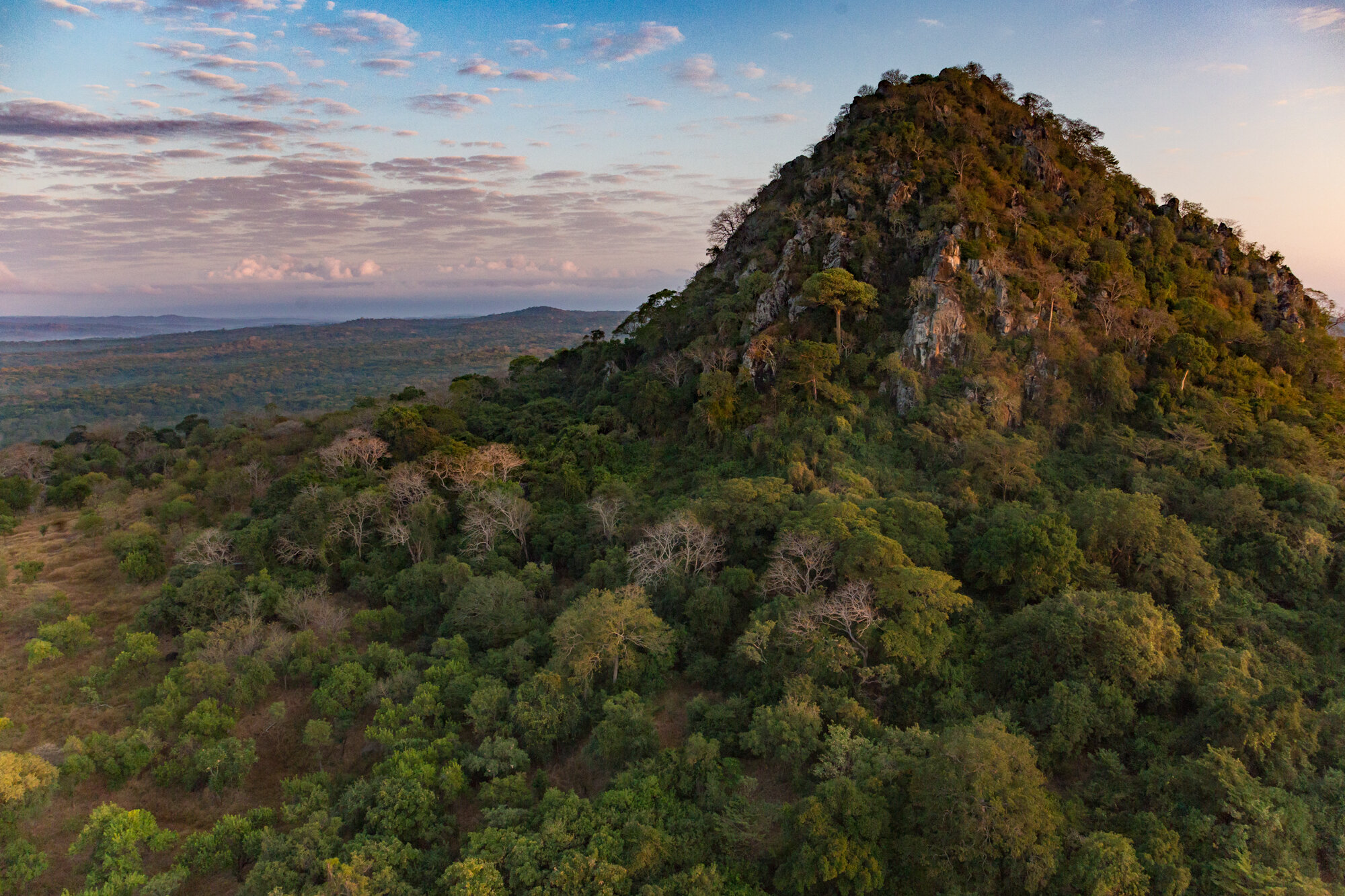 Mt Gorongosa