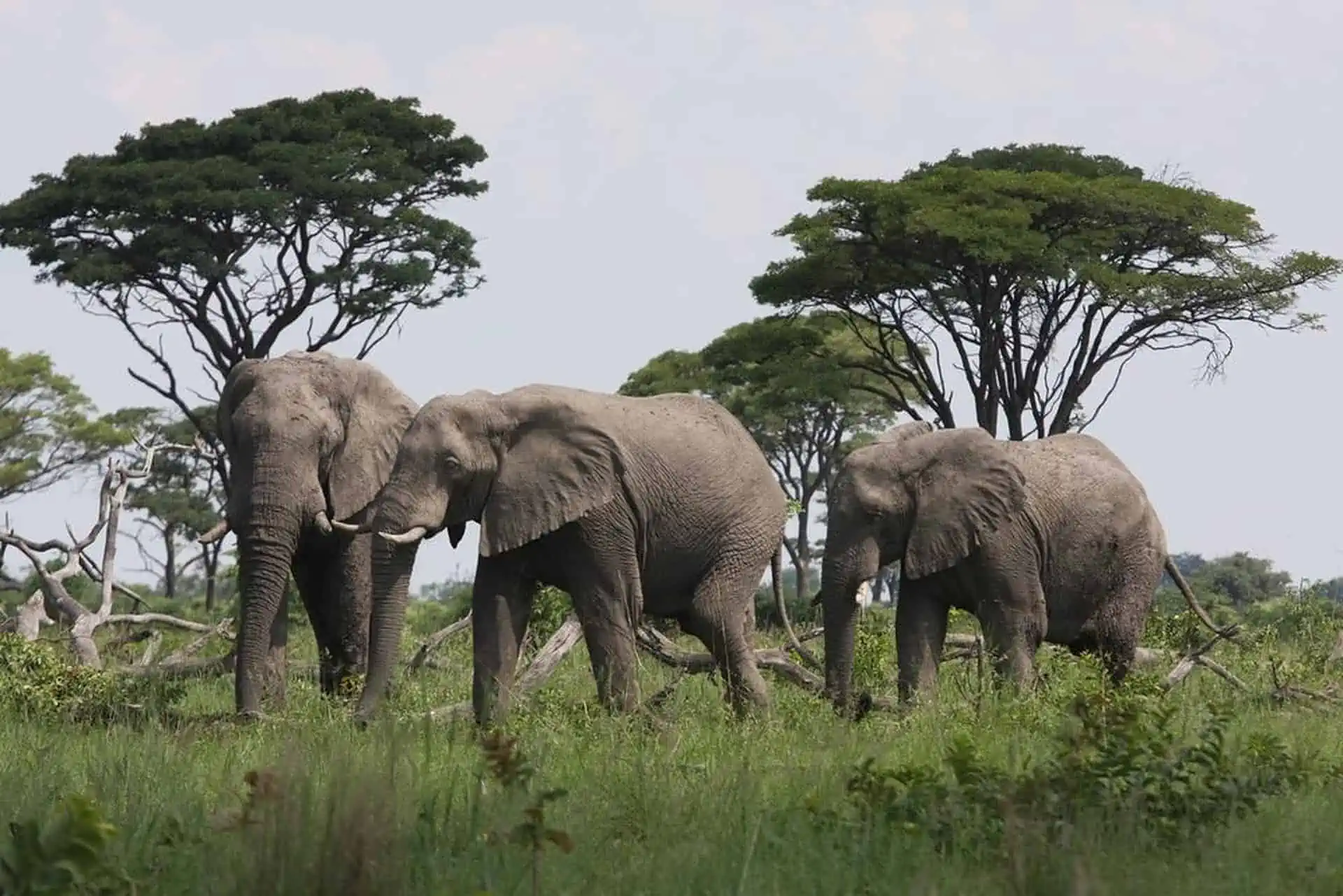 Mudumu-National-Park