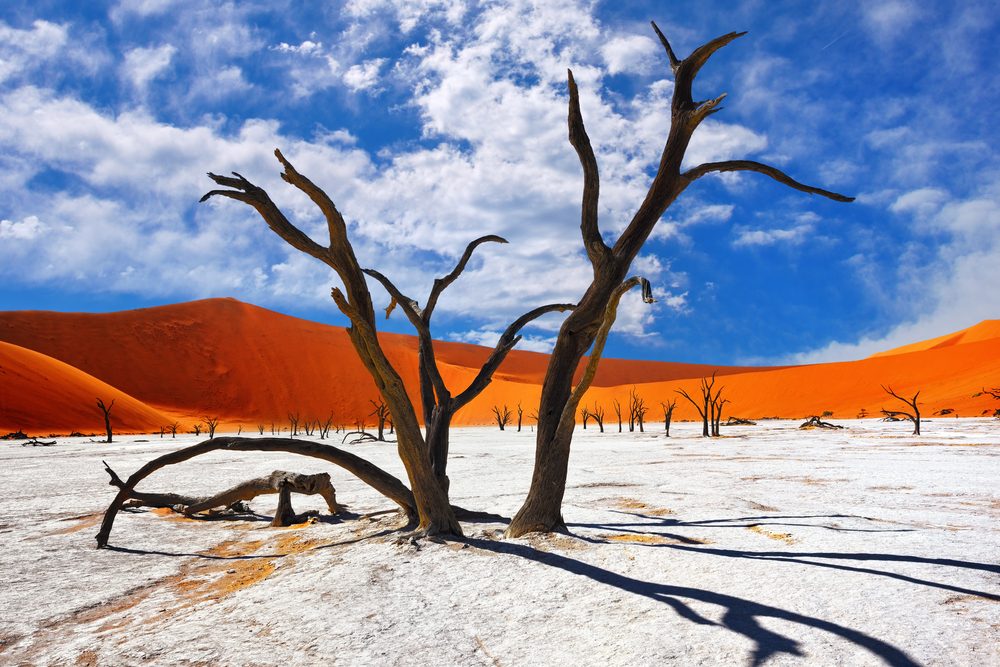 Namib-Naukluft National Park