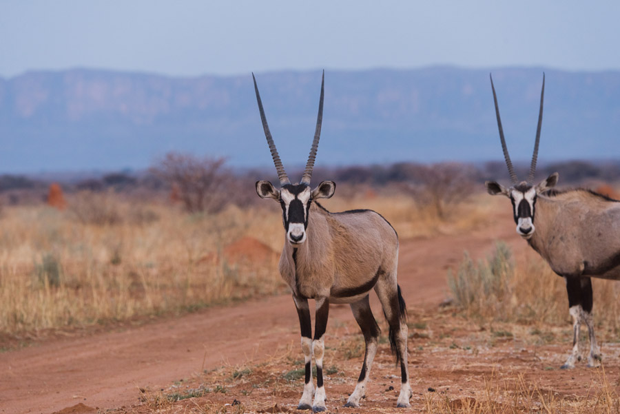 Waterberg Plateaupark