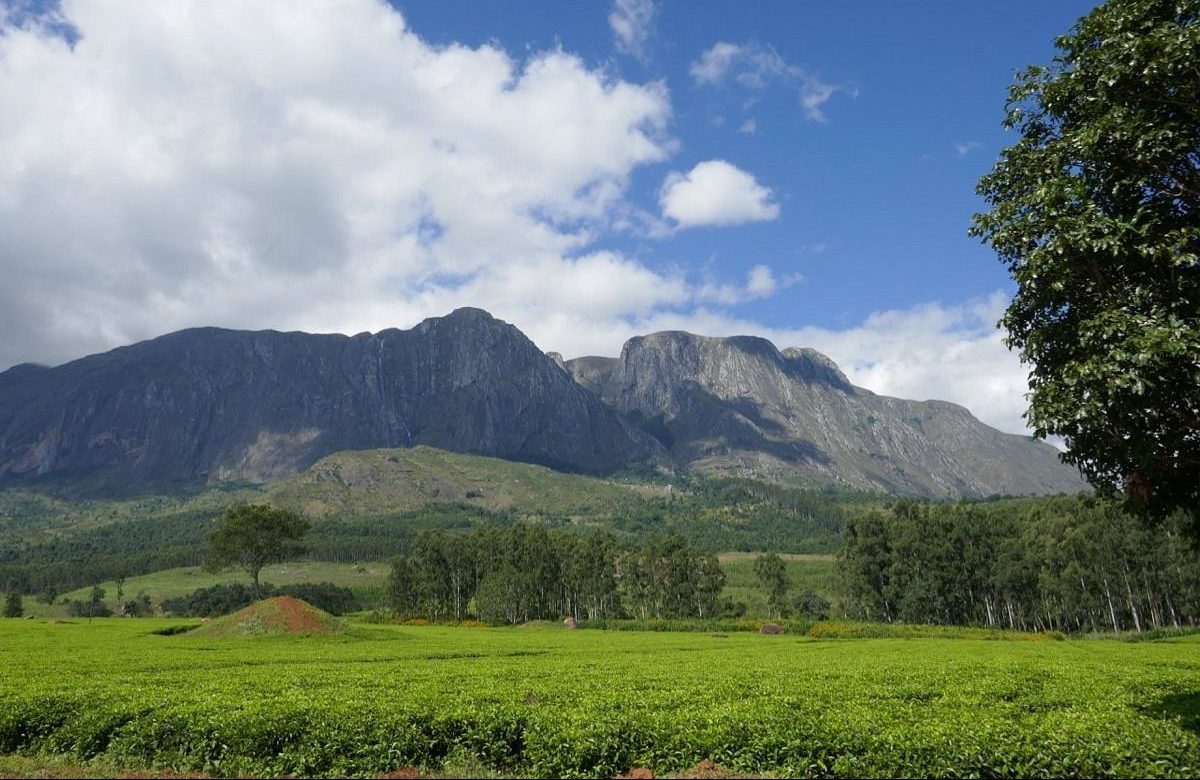 mount-mulanje (1)